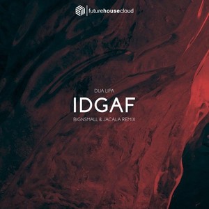 IDGAF (BigNSmall & Jacala Remix)