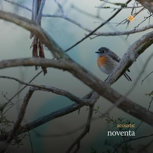 noventa (Acoustic)