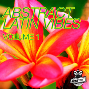 Abstract Latin Vibes, Vol. 1