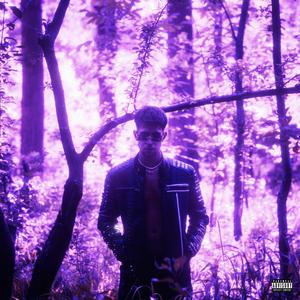 Money Alert (Explicit)