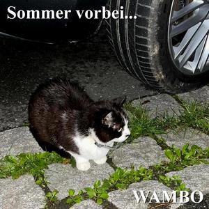 Sommer vorbei : ( (Explicit)