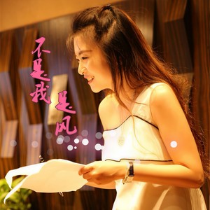 不是我是风