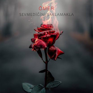 Sevmediğini Saklamakla