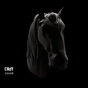 CNdY - 流动