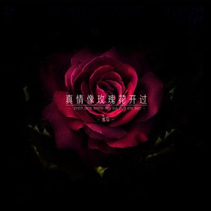 我以为对你一往情深你会陪我看尽日月星辰