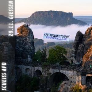 Scheiß AFD (feat. Mc Smook) (Explicit)