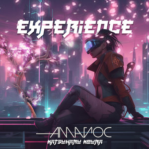 Experience (Explicit)