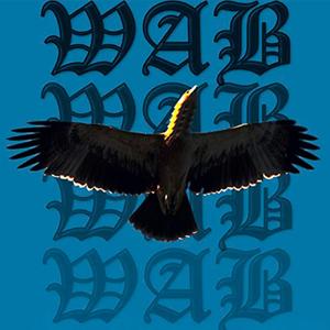 WAB(feat. OroXGolden) (Explicit)