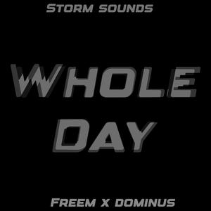 Whole Day (feat. Freem) (Explicit)