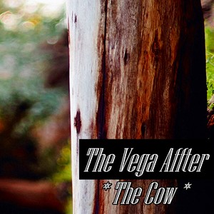 The Vega Affter