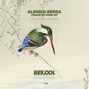 Peace of Mind (Remix)
