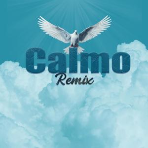 Calmo (feat. Dany Barone) [Remix 3]