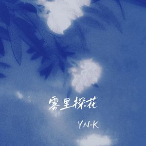 雾里探花封面