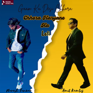 Chhora Haryane Ka (Lofi)