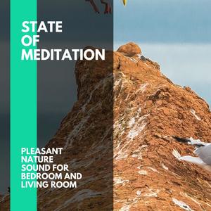 State of Meditation - Pleasant Nature Sound for Bedroom and Living Room