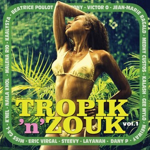 Tropik 'n' Zouk (Vol. 1)