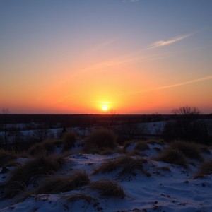 You Came, Sky Shifted