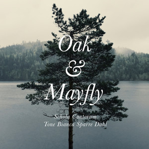 Bjørn Morten Christophersen: Oak & Mayfly