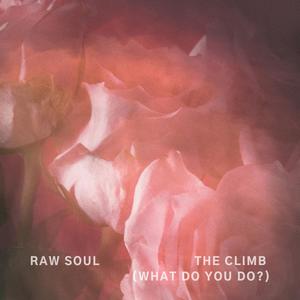 The Climb (What Do You Do?) (Explicit)