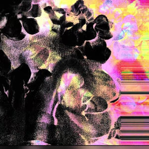 Fashion Nova (Explicit)