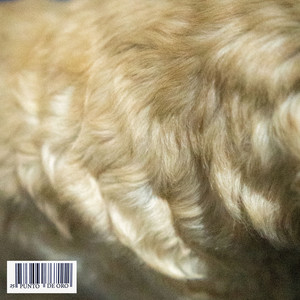 Un Eterno Suspenso (Explicit)