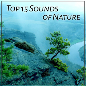 Top 15 Sounds of Nature