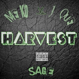 Harvest (feat. the Great Sage & J.Que) (Explicit)