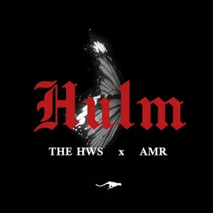hulm (feat. hws) (Explicit)