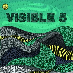 Visible 5