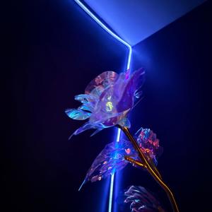 Another (feat. xtsy*) (Explicit)