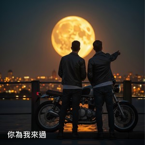 你为我来过