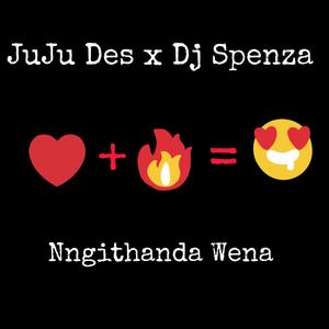 Ngithanda wena (feat. DJ Spenza)
