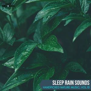 Sleep Rain Sounds - Handpicked Nature Music, Vol.10