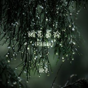 烟花易冷 (r&b版)封面