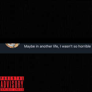 Maybe in another life, I wasn't so horrible (Explicit)