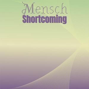 Mensch Shortcoming