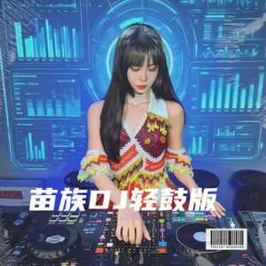 Ua siab hnov qab kuv mus DJ版 (Remix)