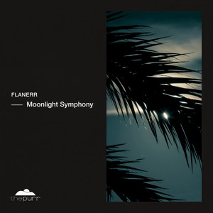 Moonlight Symphony