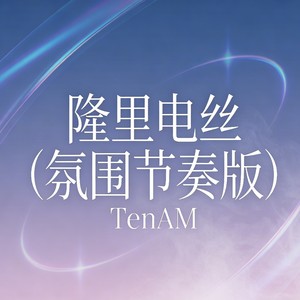 隆里电丝 (氛围节奏版)封面