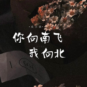 你向南飞 我向北