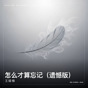怎么才算忘记-王娅楠
