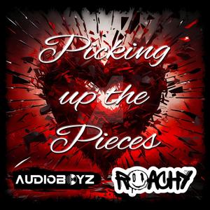 Picking Up The Pieces (feat. Roachy) (Radio Edit)