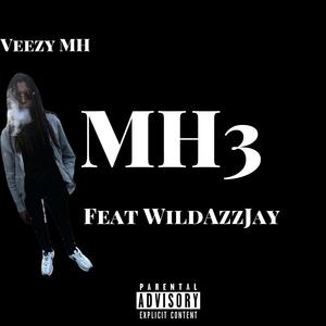 MH3 (SOB) (feat. WildAzzJay) (Explicit)