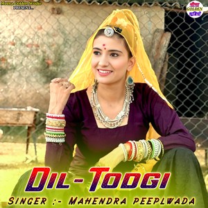 Dil Todgi