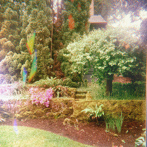 i can see you in everything