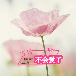 可惜再也不会爱了 (伴奏)