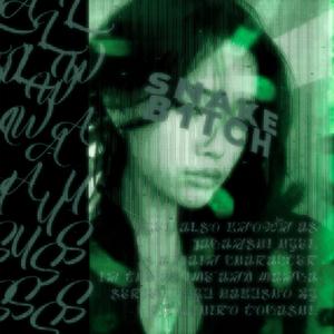 SNAKEB1TCH (Explicit)