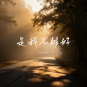 是我不够好-Mr.chu