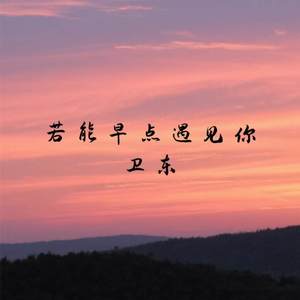 若能早点遇见你