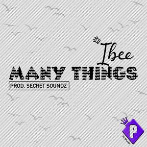 MANY THINGS (Explicit)